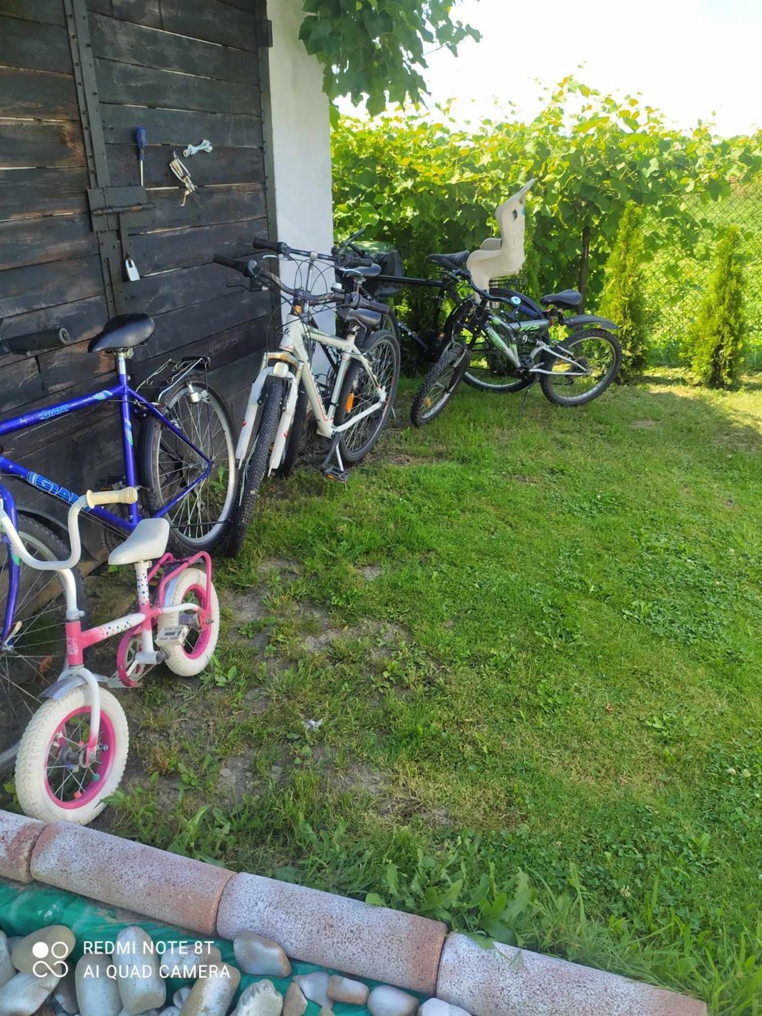 Ferienwohnung Swierkowe Zacisze 13Km Energylandia Wożniki Exterior foto